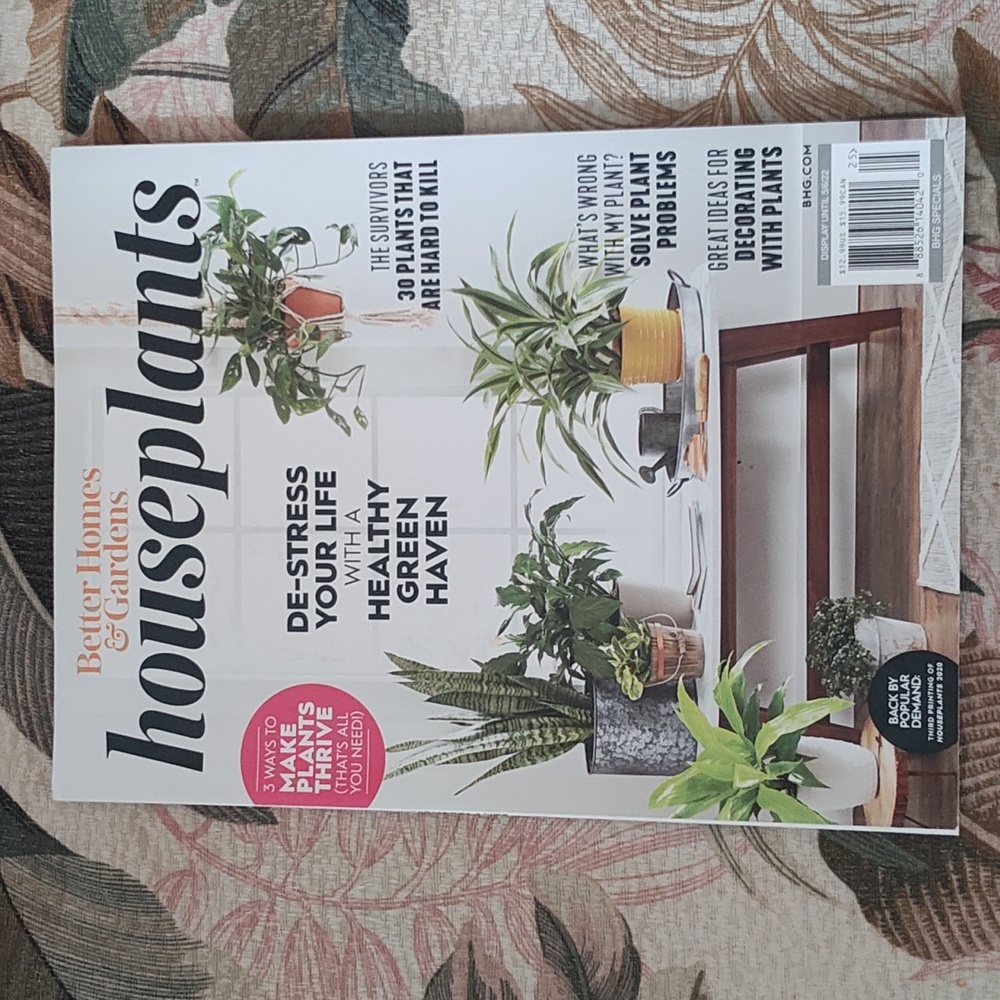 MAGAZINE: HOUSEPLANTS - Picture 15 of 15